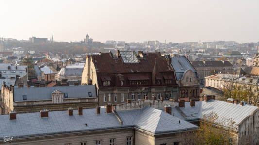 Lwów po dachach