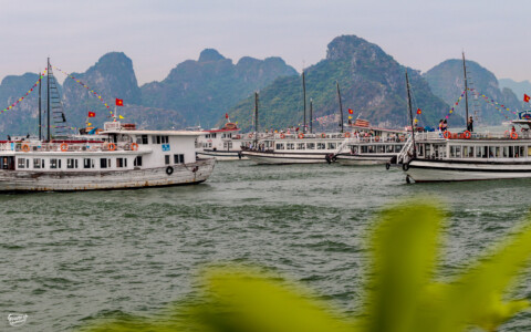 Zatoka Ha Long Wietnam