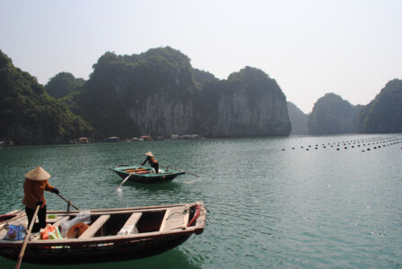 Zatoka Ha Long Wietnam