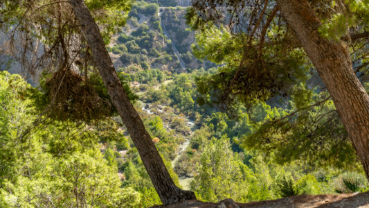 Caminito del Rey wąwóz